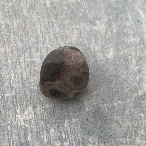 Petoskey stone - Picture 7 of 7